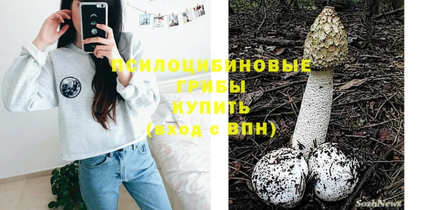 меф Богородицк